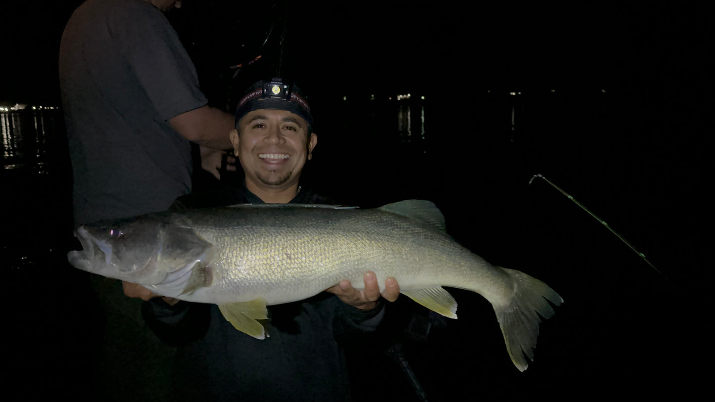 Columbia River Walleye Guided Trip