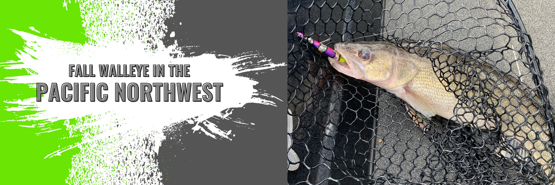 The Best Baits for Fall Walleye in the Pacific Northwest