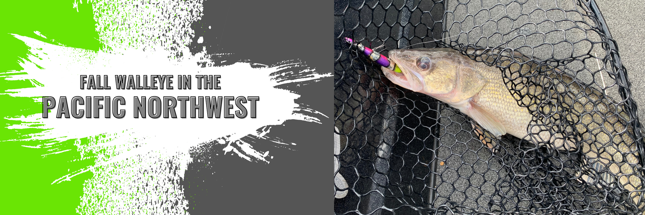 The Best Baits for Fall Walleye in the Pacific Northwest Vertical