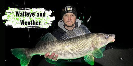 How are walleye effected by temperature, light, and forecast?