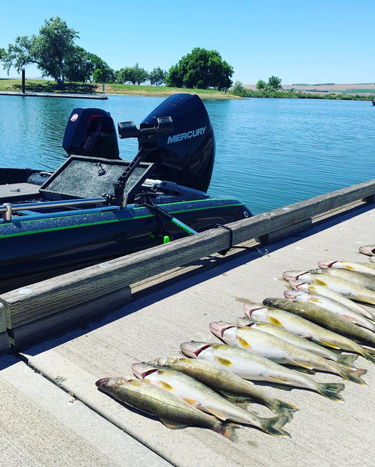 Vertical Jigs and Lures - Columbia River Walleye Guided Trip - Vertical Jigs and Lures Custom Guided Fishing Trip